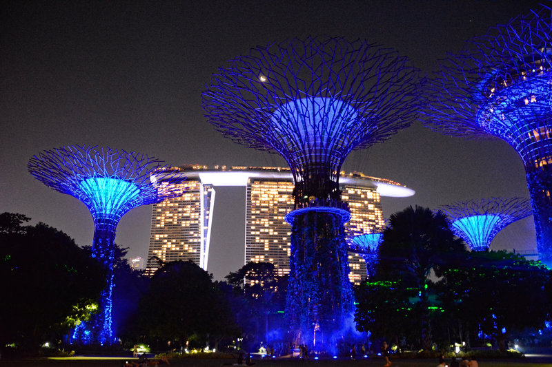'Supertrees' im Gardens by the Bay